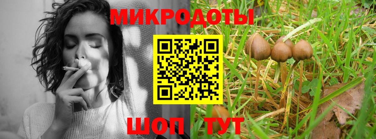 Димитровград  Псилоцибиновые грибы прущие грибы  Вход с VPN 